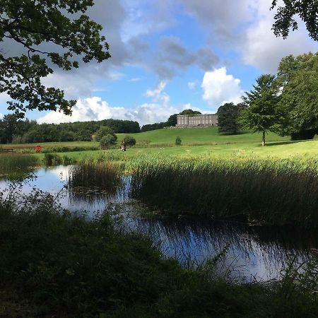 Curraghchase Cottage Kilcornan Zewnętrze zdjęcie