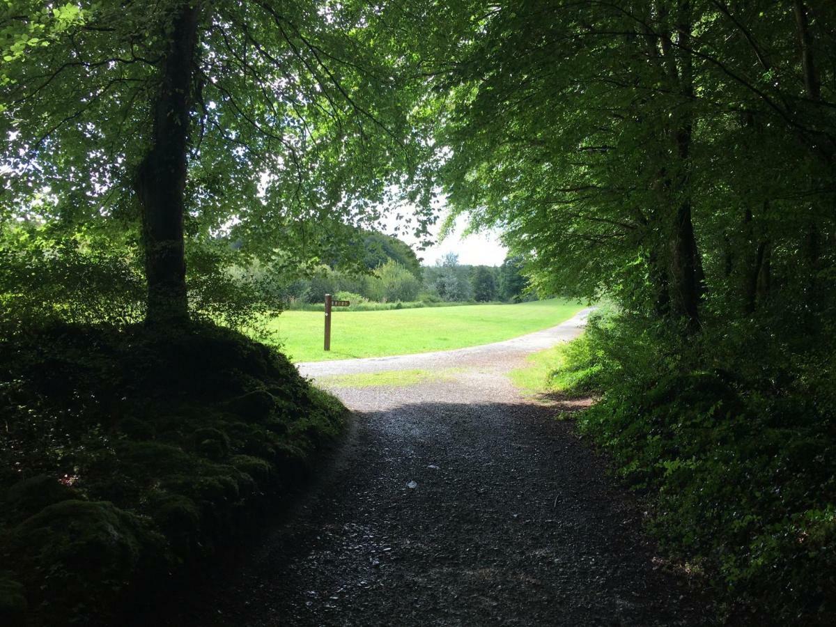 Curraghchase Cottage Kilcornan Zewnętrze zdjęcie
